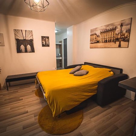 Le P'Tit Jeanne D'Arc Logements Insolites 南锡 外观 照片