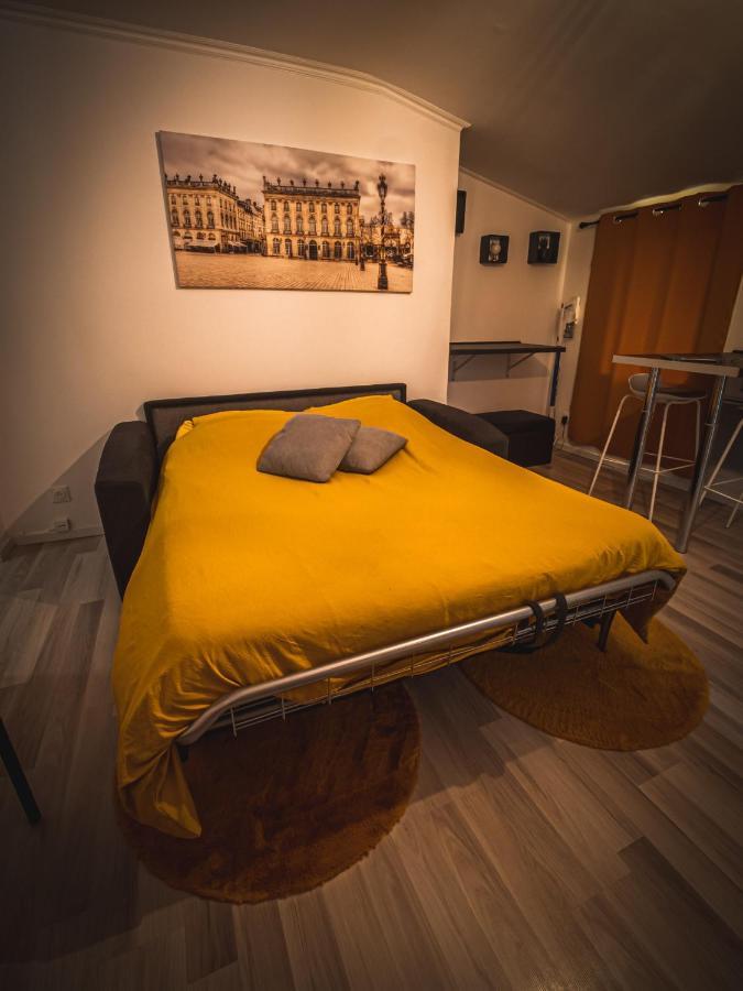Le P'Tit Jeanne D'Arc Logements Insolites 南锡 外观 照片